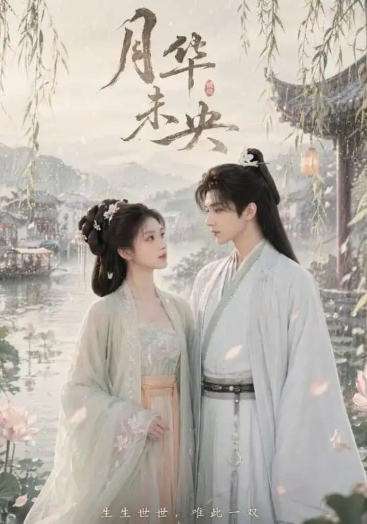 月华未央海报