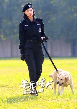 警花与警犬海报