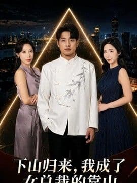 下山归来，我成了女总裁的靠山海报