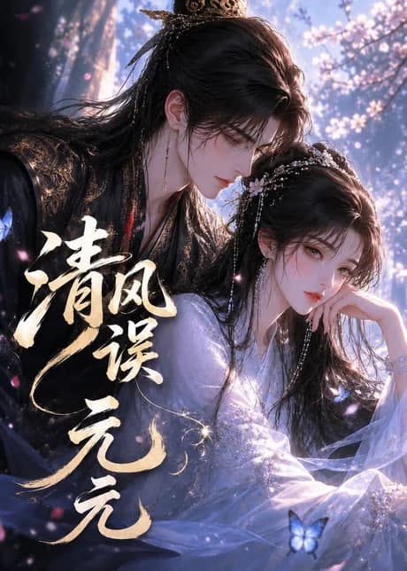 清风误元元海报