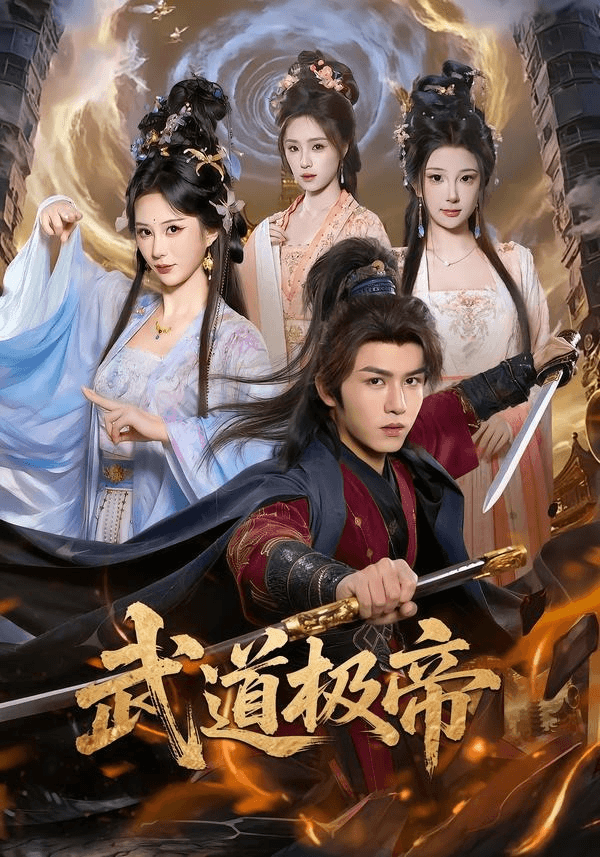 武道极帝海报