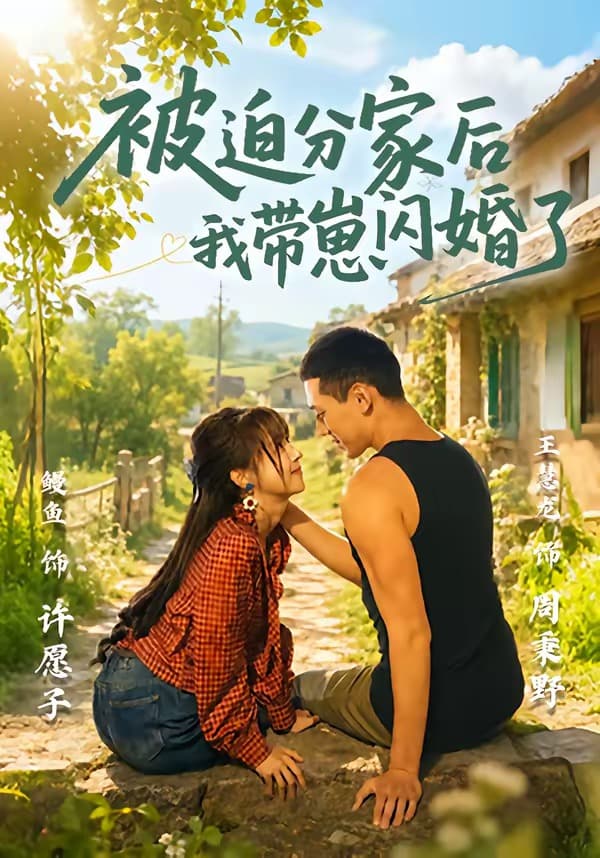被迫分家后我带崽闪婚了海报