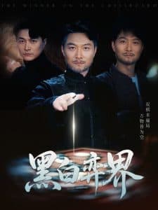 黑白弈界海报