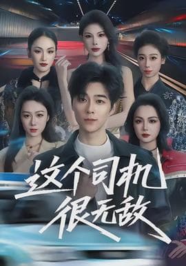 这个司机很无敌海报