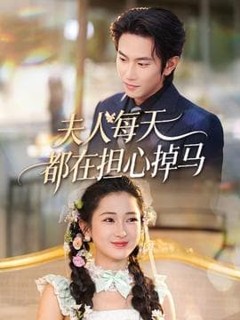 夫人每天都在担心掉马海报