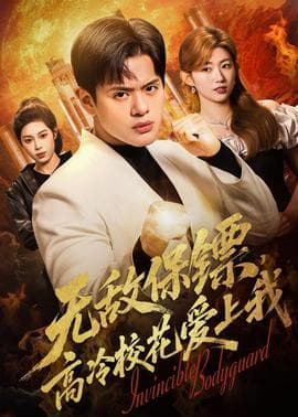 无敌保镖，高冷校花爱上我海报