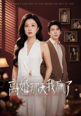 离婚那天我赢了海报