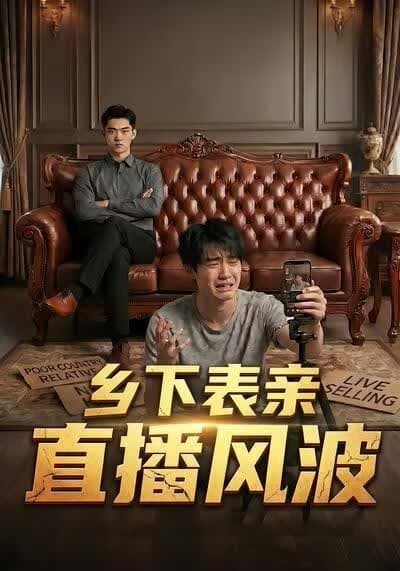 乡下表亲直播风波海报