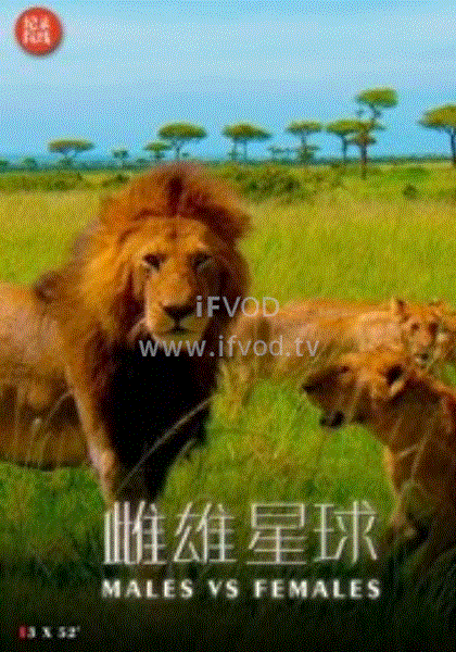雌雄星球海报